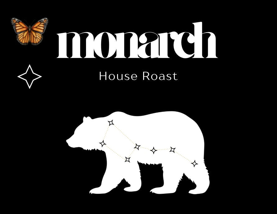 Calista Coffee Co. coffee package with bear illustration and branding elements.